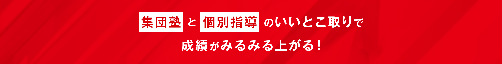 集団塾と個別指導のいいとこ取りで成績がみるみる上がる!