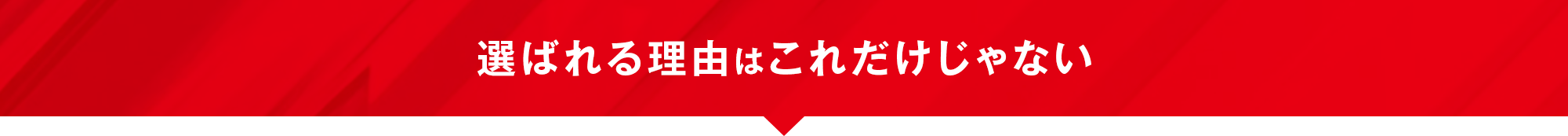 選ばれる理由はこれだけじゃない